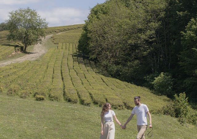 Séjour en campagne pour une lune de miel : guide complet pour les couples